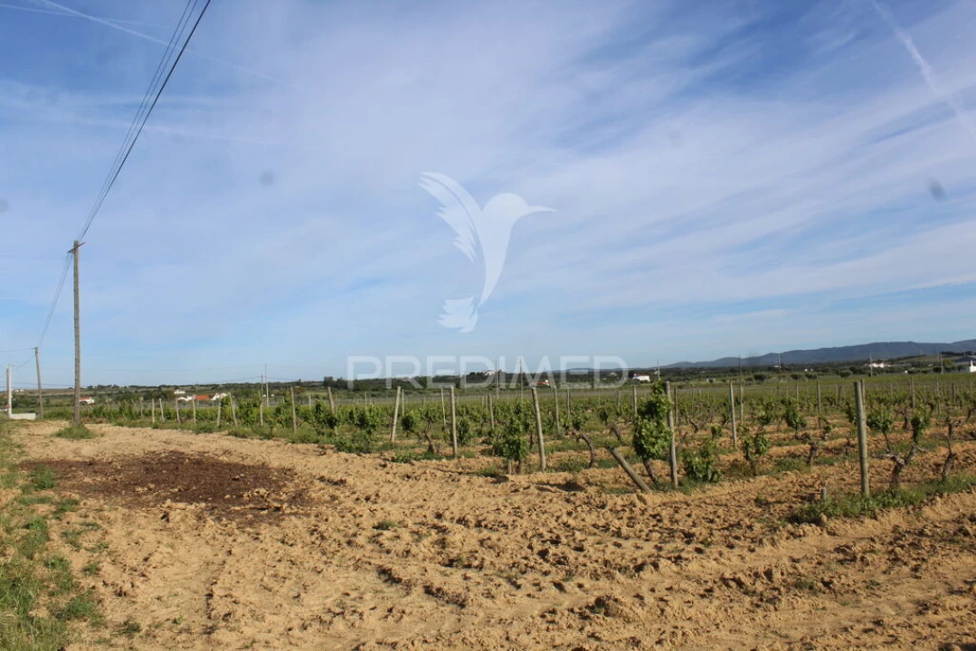 Quinta para Venda em Redondo Foto 15