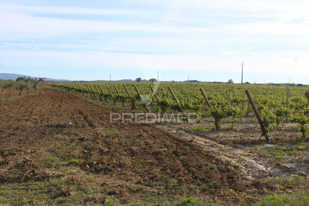 Quinta para Venda em Redondo Foto 14