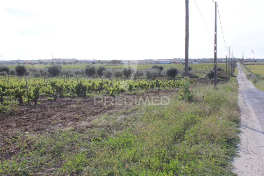 Quinta para Venda em Redondo Foto 5