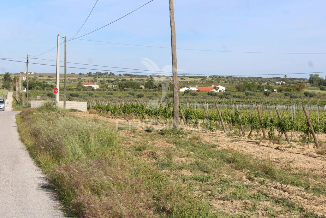 Quinta para Venda em Redondo Foto 19