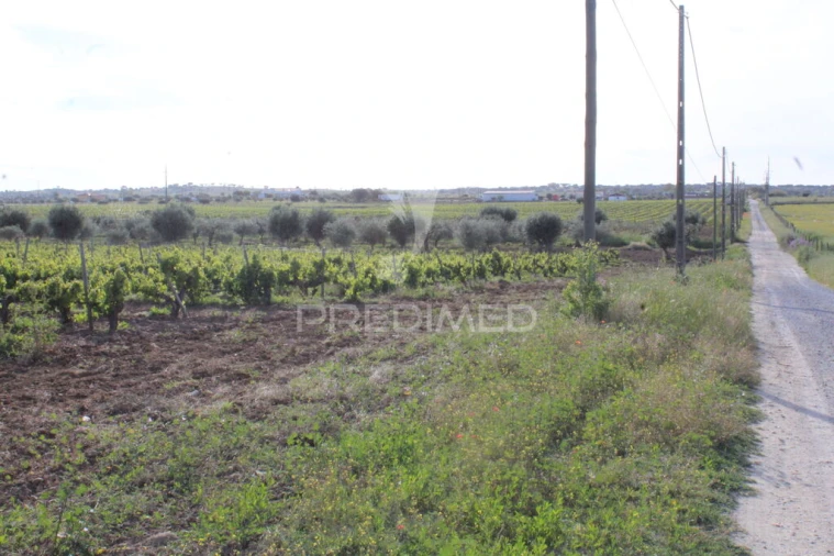 Quinta para Venda em Redondo Foto 5