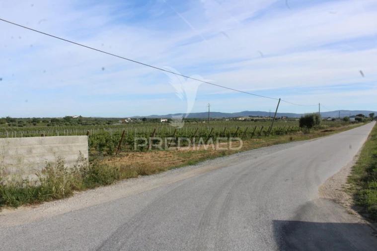 Quinta para Venda em Redondo Foto 16