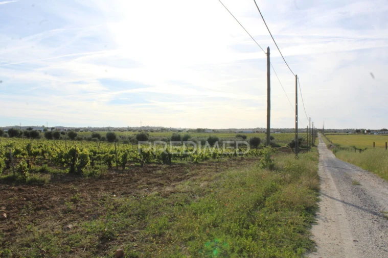 Quinta para Venda em Redondo Foto 4