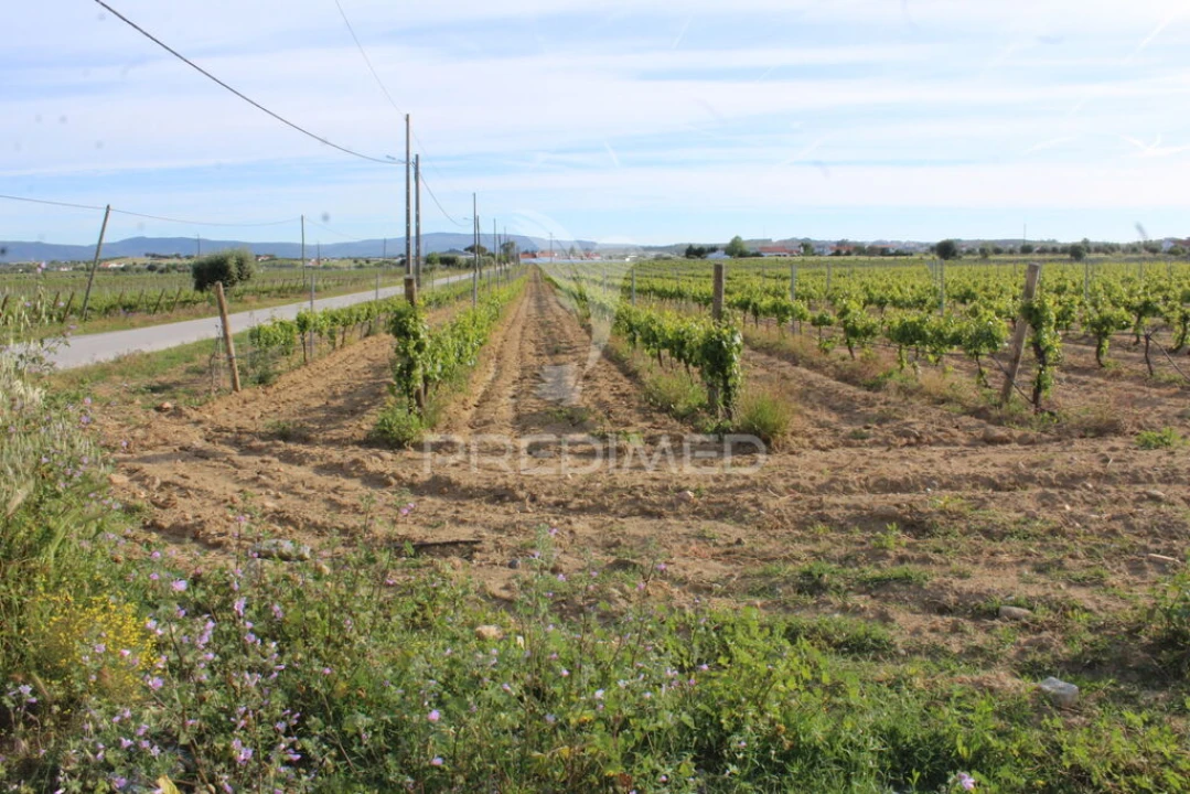 Quinta para Venda em Redondo Foto 18