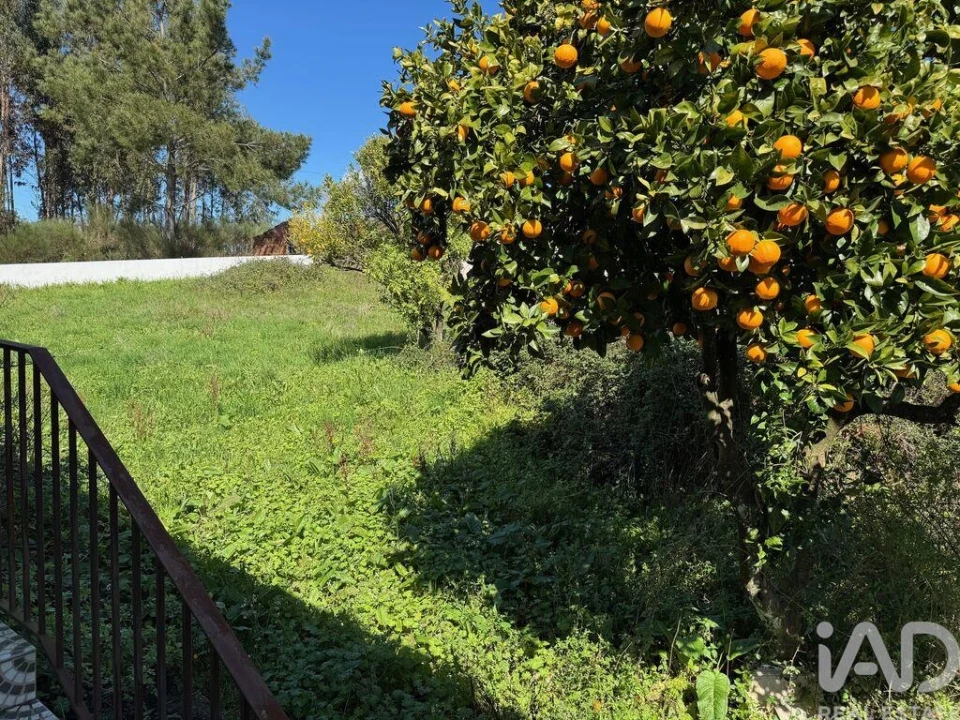 Moradia T4 para Venda em Vila Facaia Foto 27