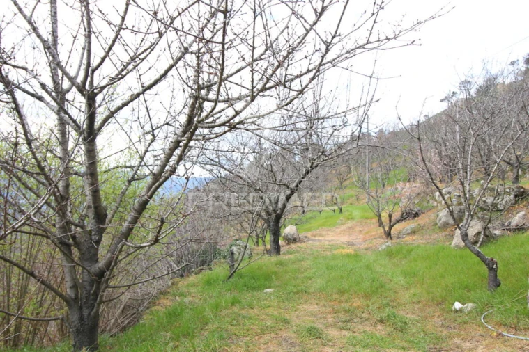 Quinta T2 para Venda em São Martinho de Mouros Foto 18