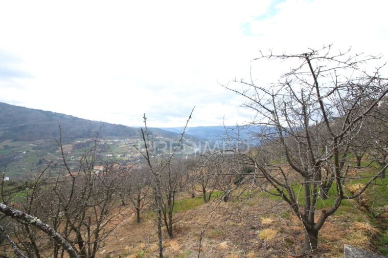 Quinta T2 para Venda em São Martinho de Mouros Foto 14