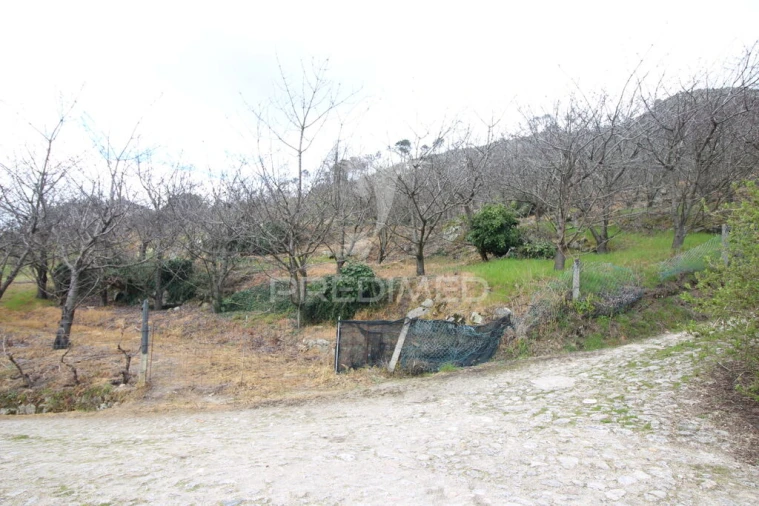 Quinta T2 para Venda em São Martinho de Mouros Foto 8