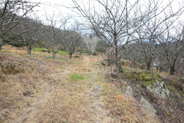 Quinta T2 para Venda em São Martinho de Mouros Foto 9