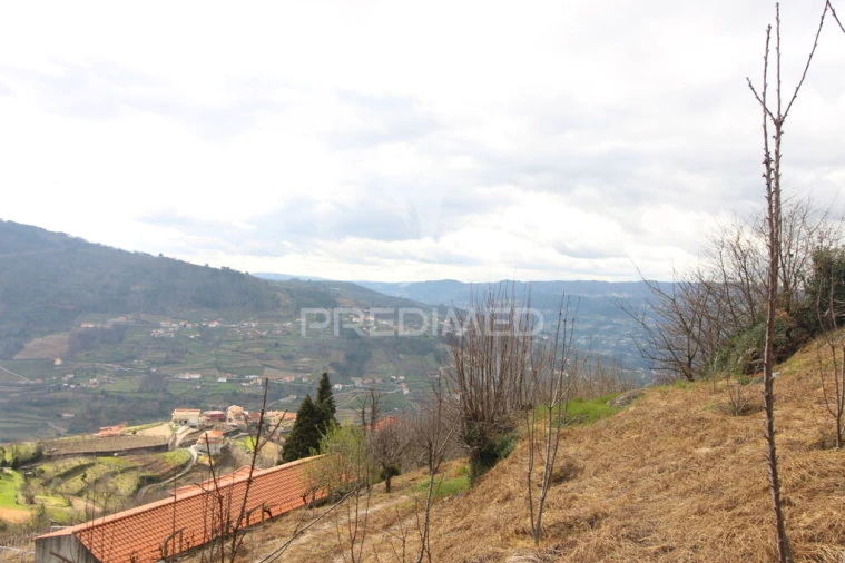 Quinta T2 para Venda em São Martinho de Mouros Foto 16