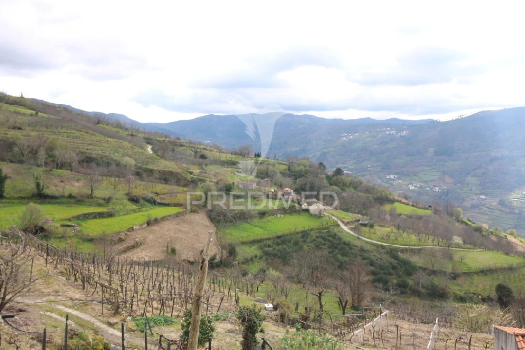 Quinta T2 para Venda em São Martinho de Mouros Foto 15