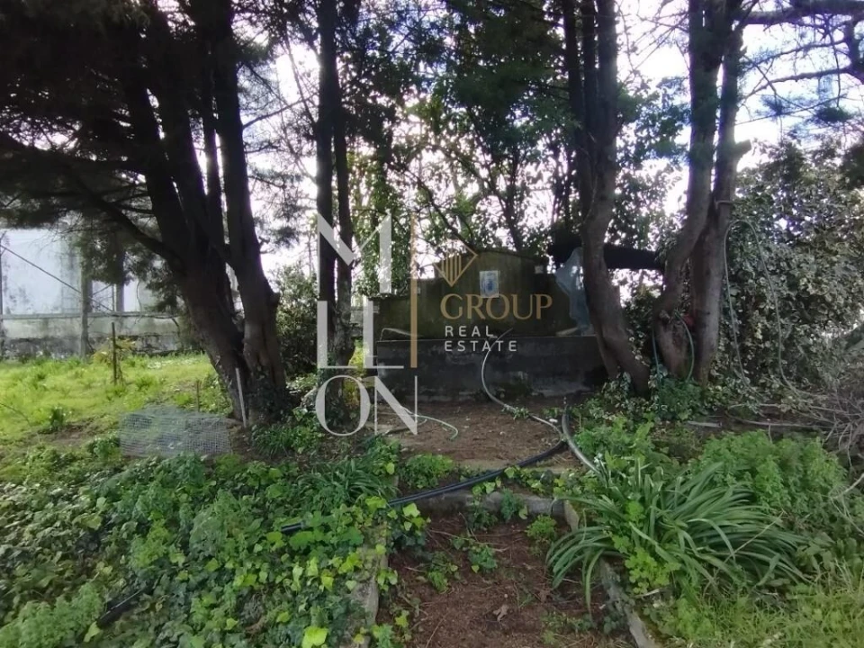 Quinta T3 para Venda em Margaride, Várzea, Lagares, Varziela, Moure Foto 3