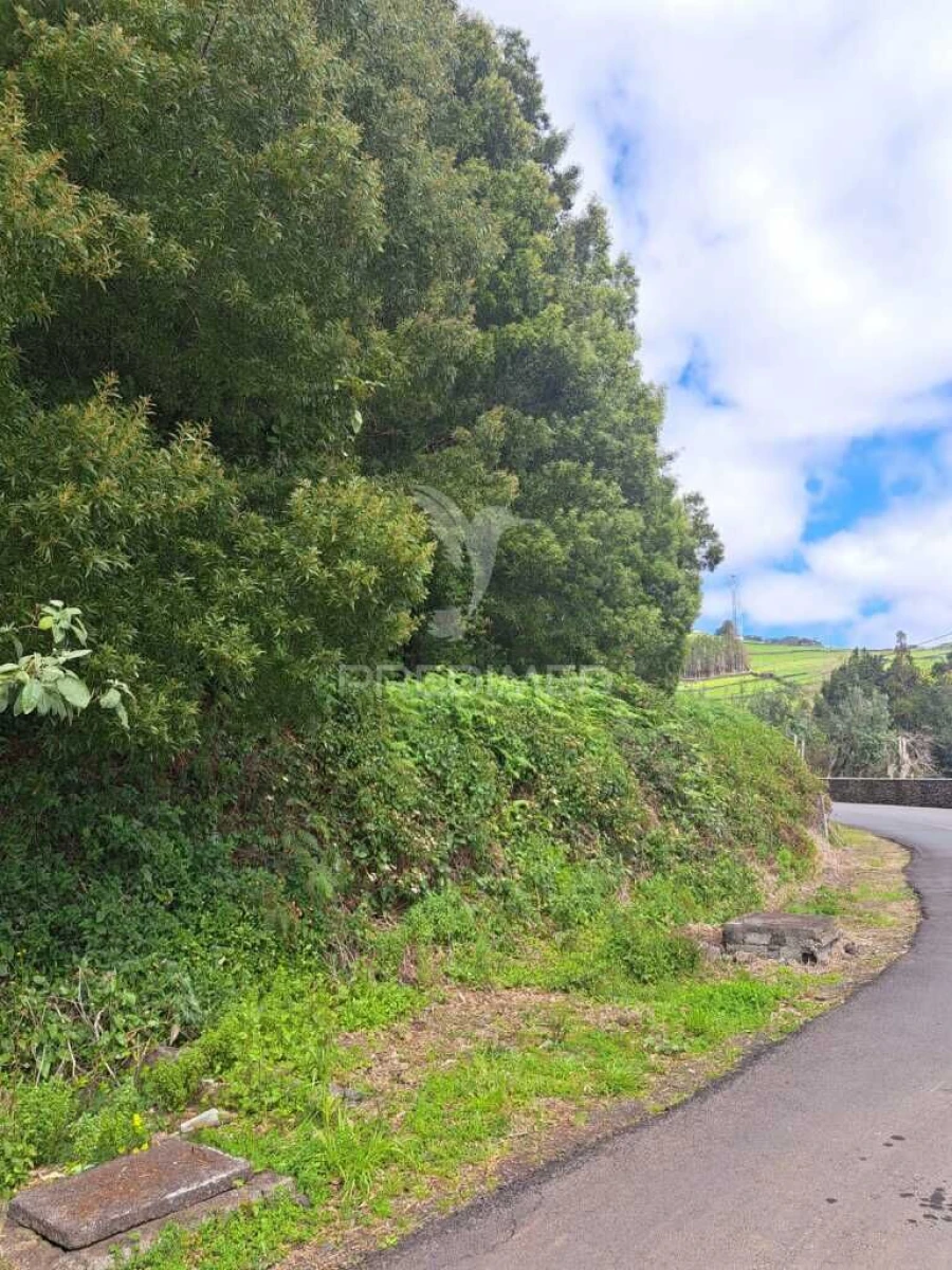 Terreno para Venda em Terra Chã Foto 2