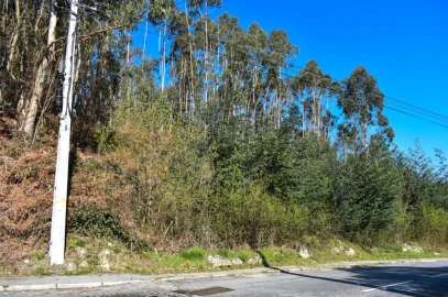 Terreno para Venda em Vieira do Minho
