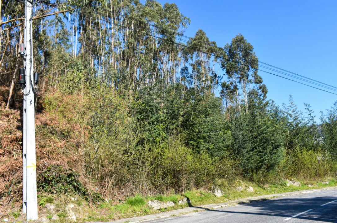 Terreno para Venda em Vieira do Minho Foto 1