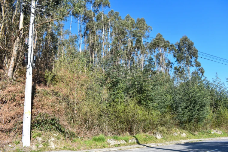 Terreno para Venda em Vieira do Minho Foto 9