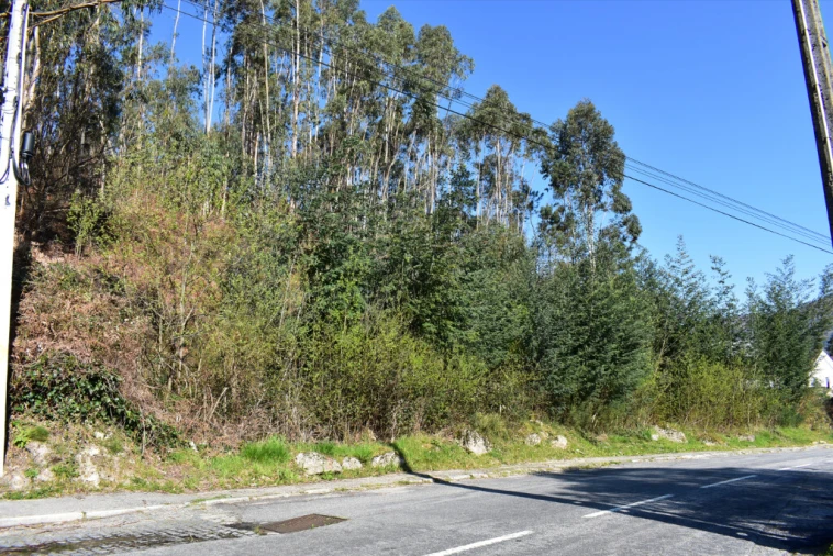 Terreno para Venda em Vieira do Minho Foto 10