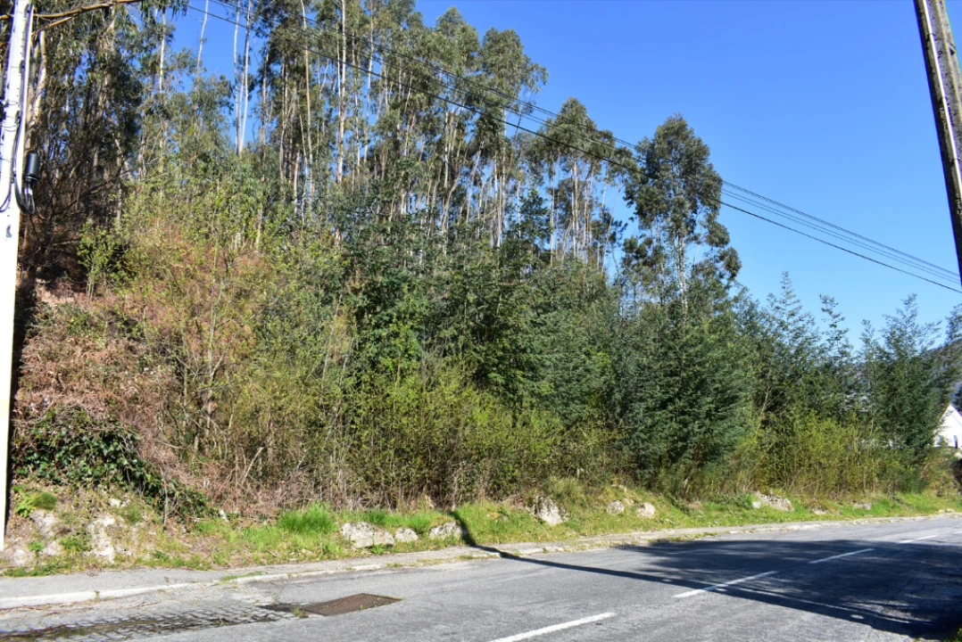 Terreno para Venda em Vieira do Minho Foto 10
