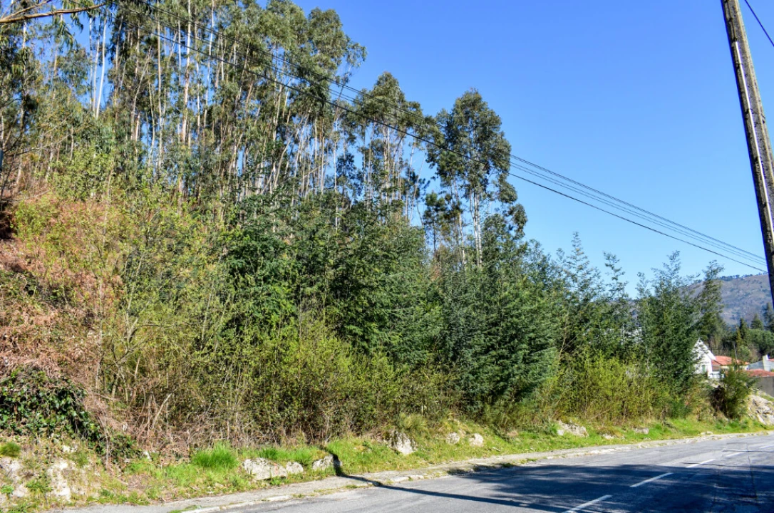 Terreno para Venda em Vieira do Minho Foto 2