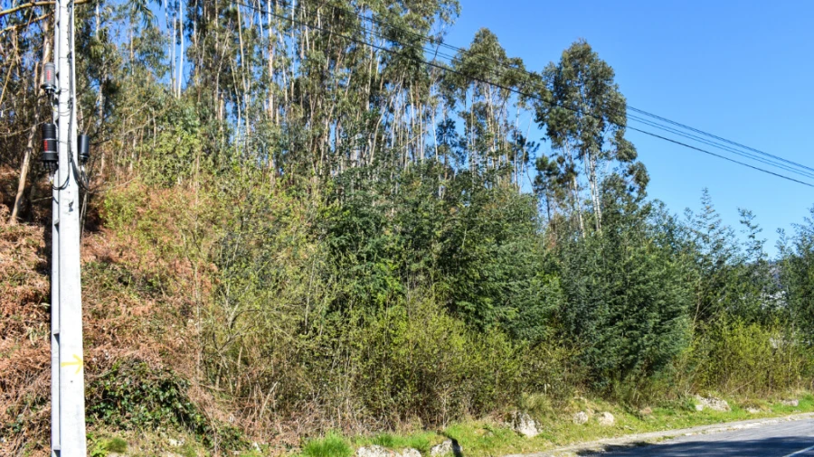 Terreno para Venda em Vieira do Minho