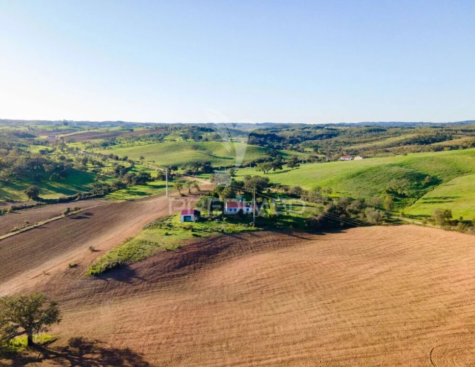 Quinta T3 para Venda em São Domingos e Vale de Água Foto 2