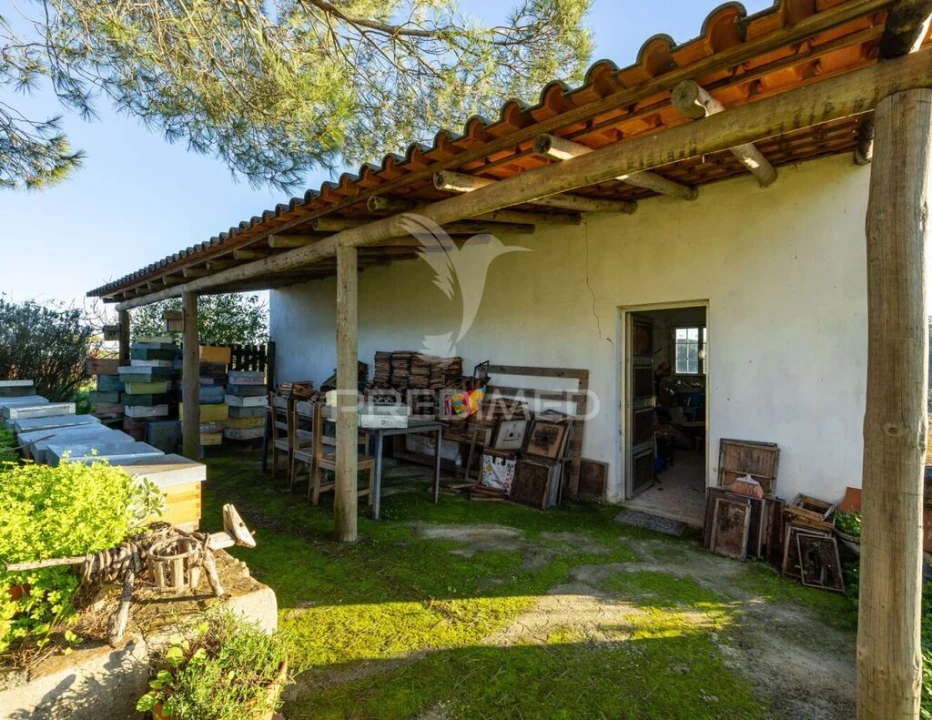 Quinta T3 para Venda em São Domingos e Vale de Água Foto 9