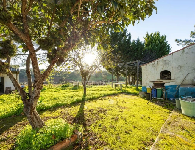 Quinta T3 para Venda em São Domingos e Vale de Água Foto 7