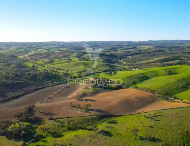 Quinta T3 para Venda em São Domingos e Vale de Água Foto 20