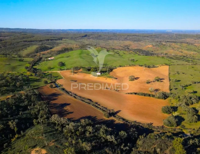 Quinta T3 para Venda em São Domingos e Vale de Água Foto 19
