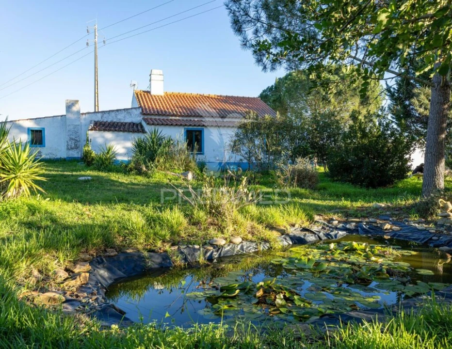 Quinta T3 para Venda em São Domingos e Vale de Água Foto 18