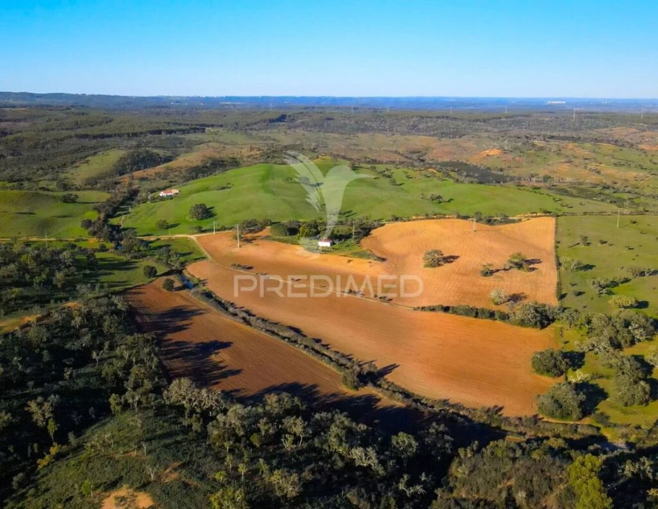 Quinta T3 para Venda em São Domingos e Vale de Água Foto 19