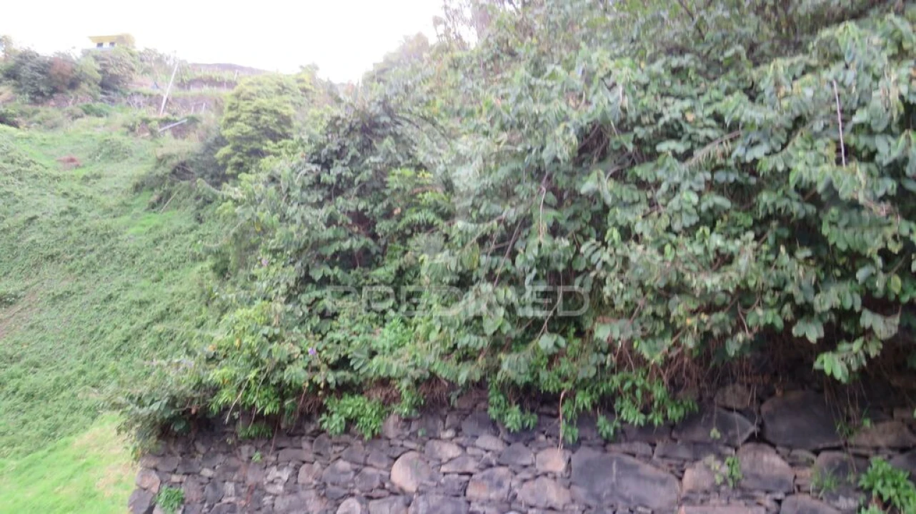 Terreno para Venda em Estreito de Camara de Lobos Foto 8
