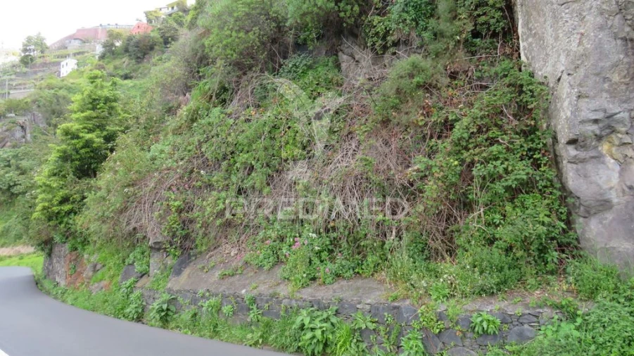 Terreno para Venda em Estreito de Camara de Lobos Foto 4