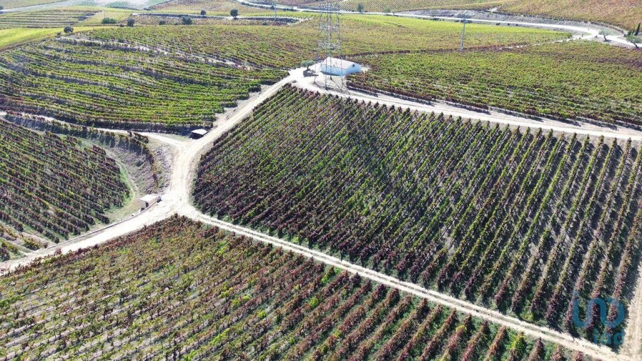 Moradia para Venda em Horta Foto 10
