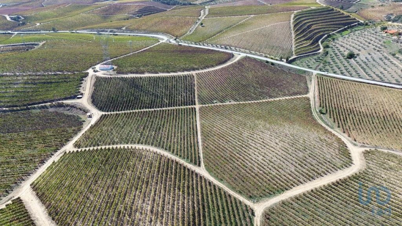 Moradia para Venda em Horta Foto 14