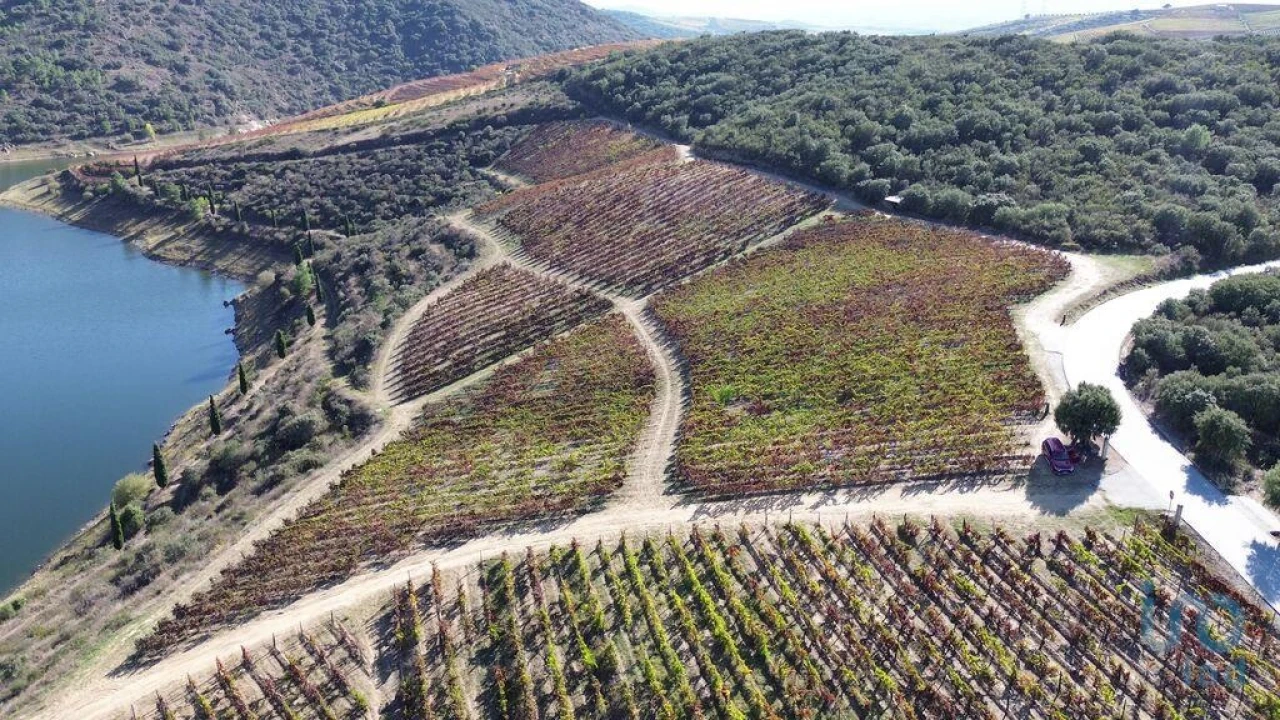 Moradia para Venda em Horta Foto 7