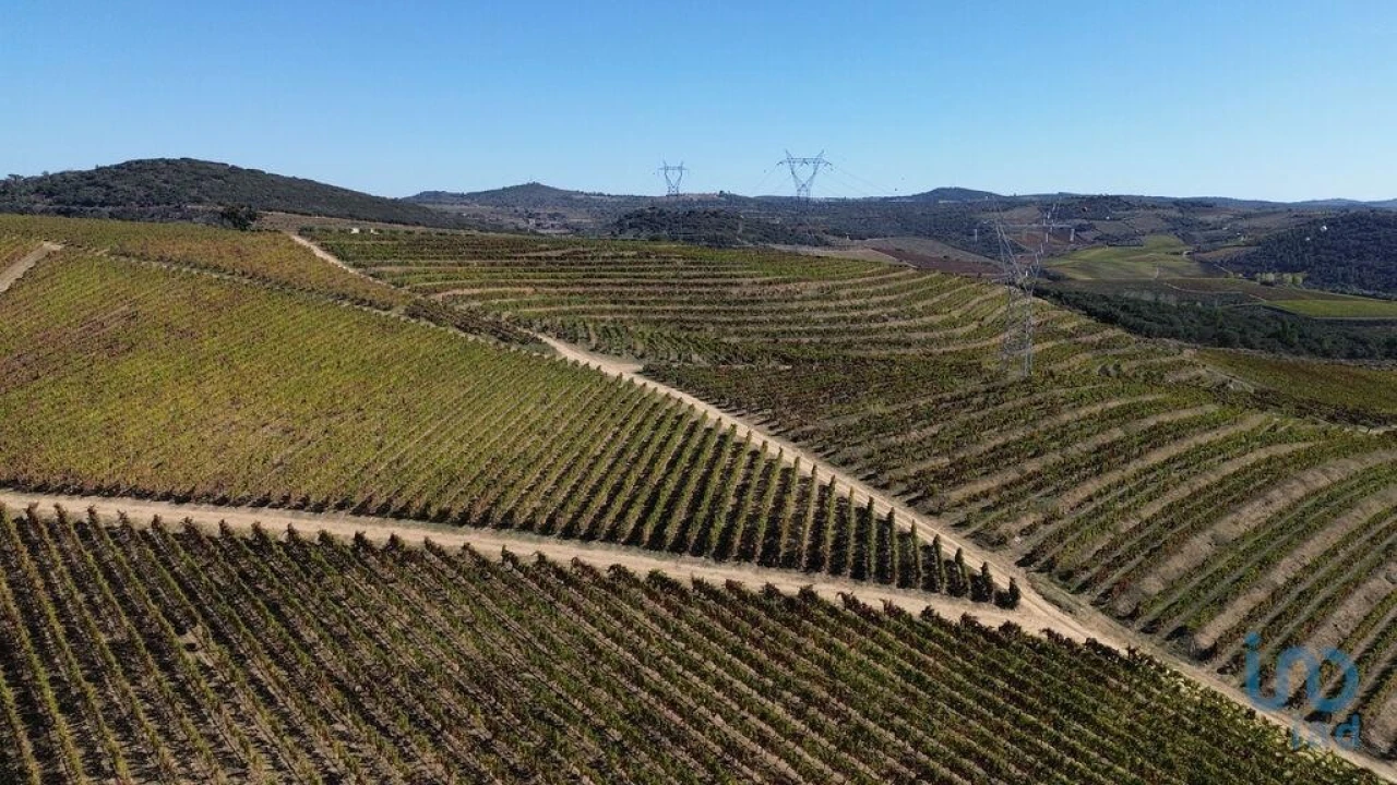 Moradia para Venda em Horta Foto 12