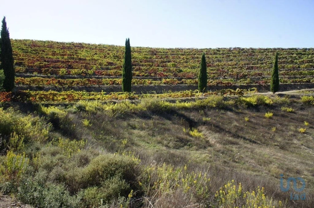 Moradia para Venda em Horta Foto 9