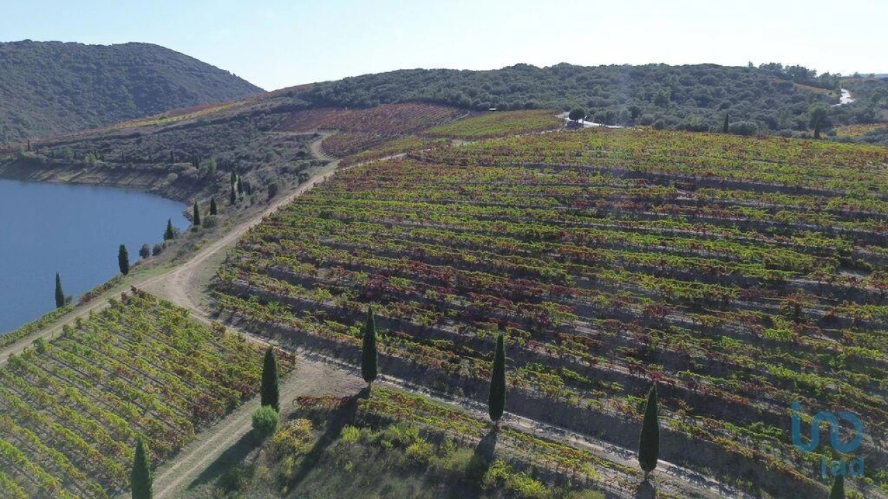 Moradia para Venda em Horta Foto 6