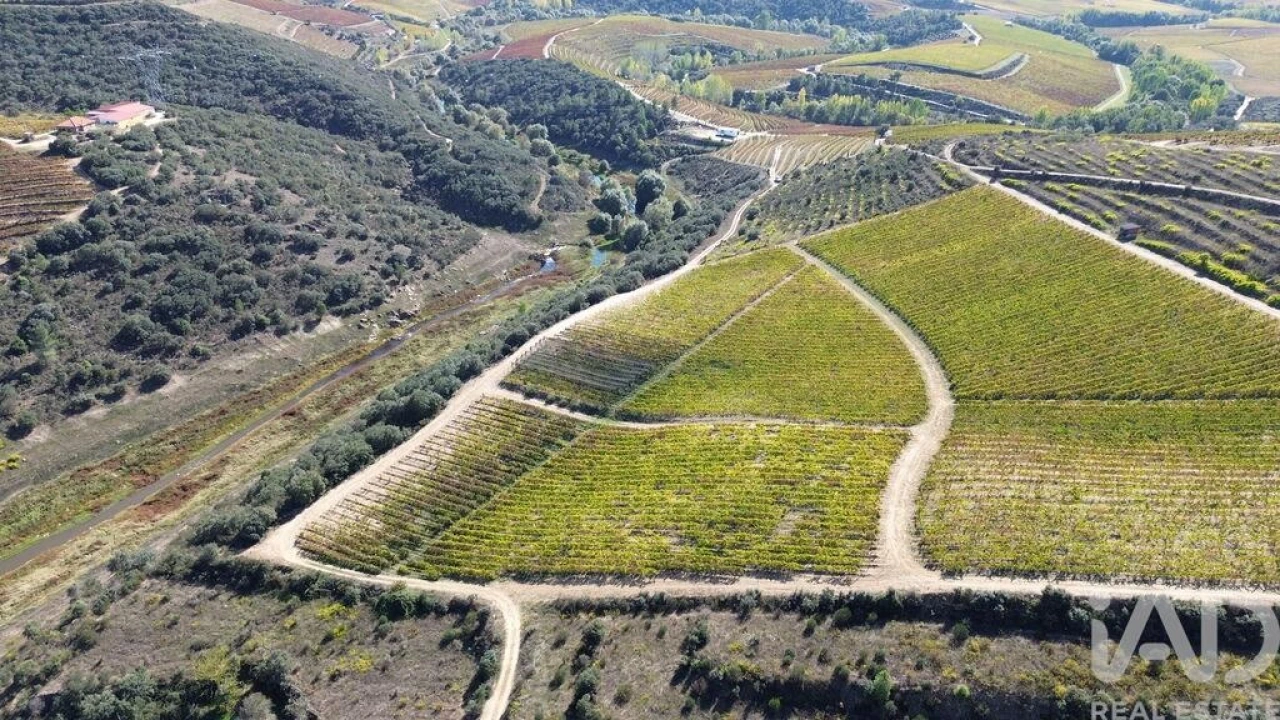 Moradia para Venda em Horta Foto 19