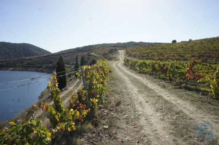 Moradia para Venda em Horta Foto 8