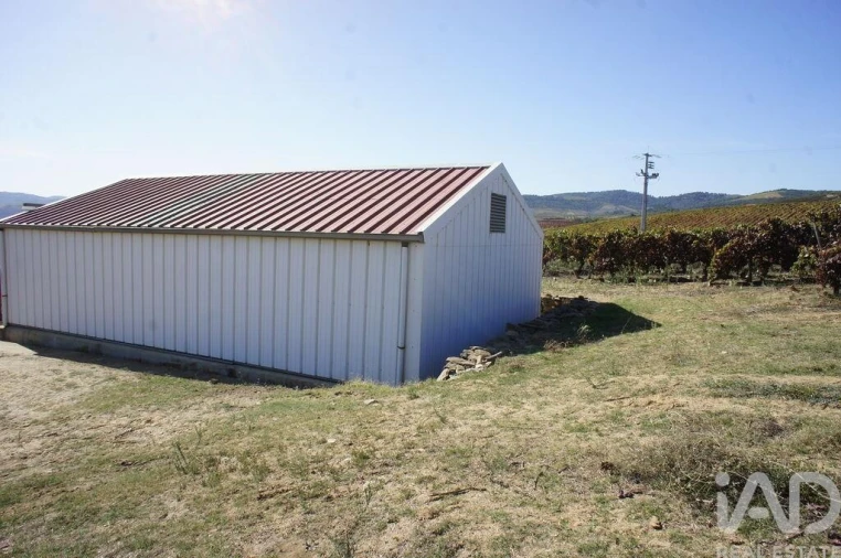 Moradia para Venda em Horta Foto 21