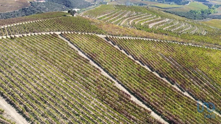 Moradia para Venda em Horta Foto 13