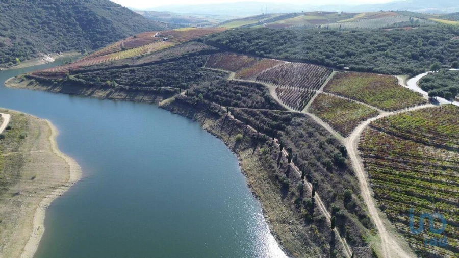 Moradia para Venda em Horta Foto 1