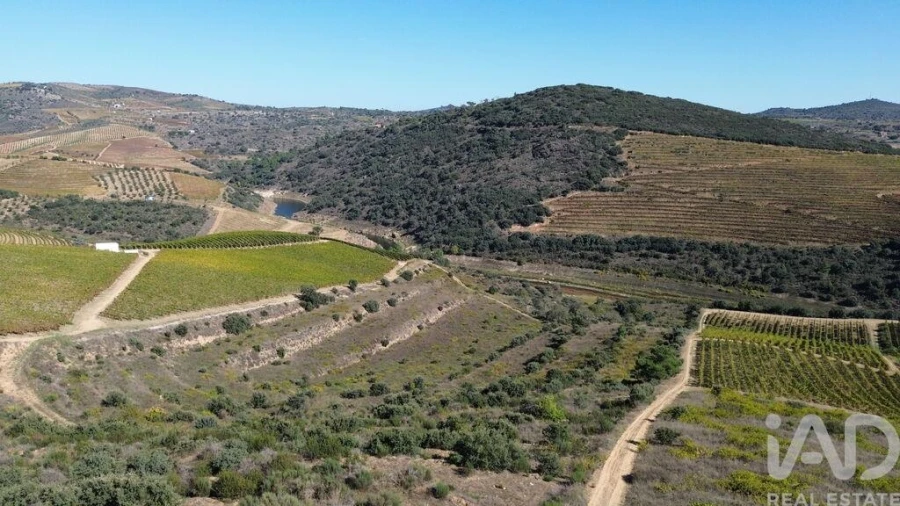 Moradia para Venda em Horta Foto 16