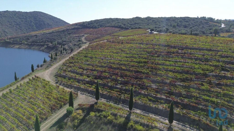 Moradia para Venda em Horta Foto 6