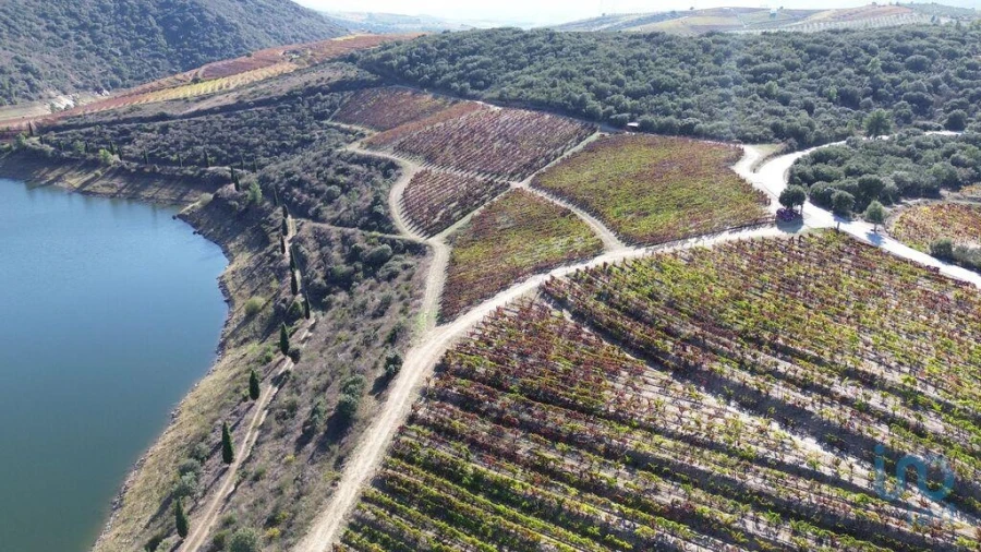 Moradia para Venda em Horta Foto 4
