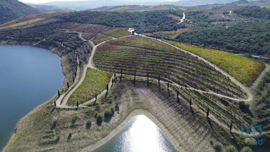 Moradia para Venda em Horta Foto 5