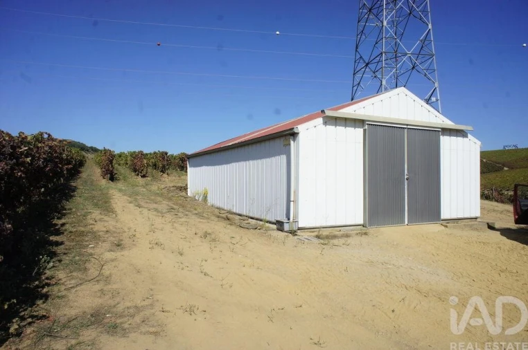 Moradia para Venda em Horta Foto 20