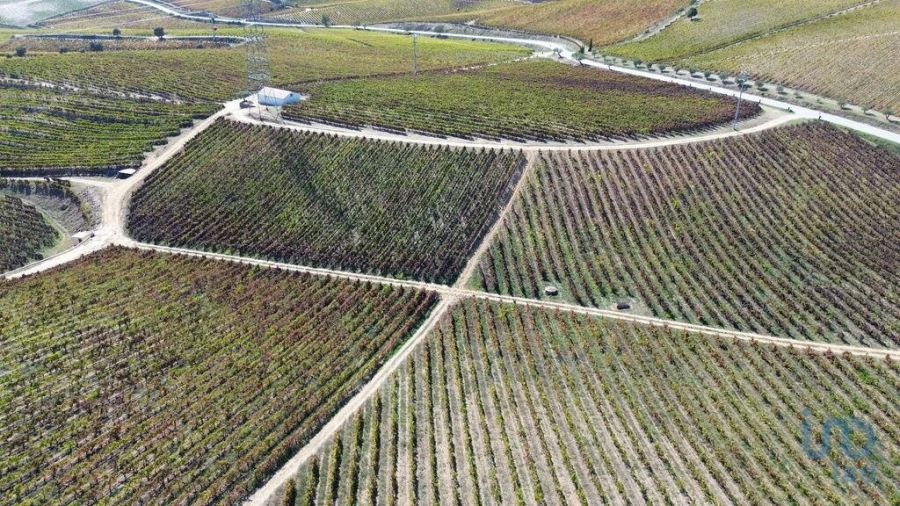 Moradia para Venda em Horta Foto 11